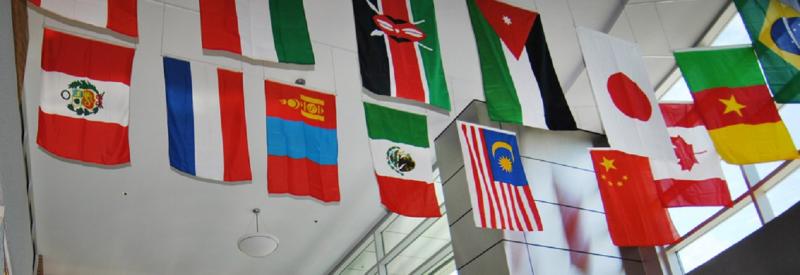 Photo of international flags