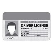 Generic driver's license