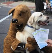 Lion with Luke