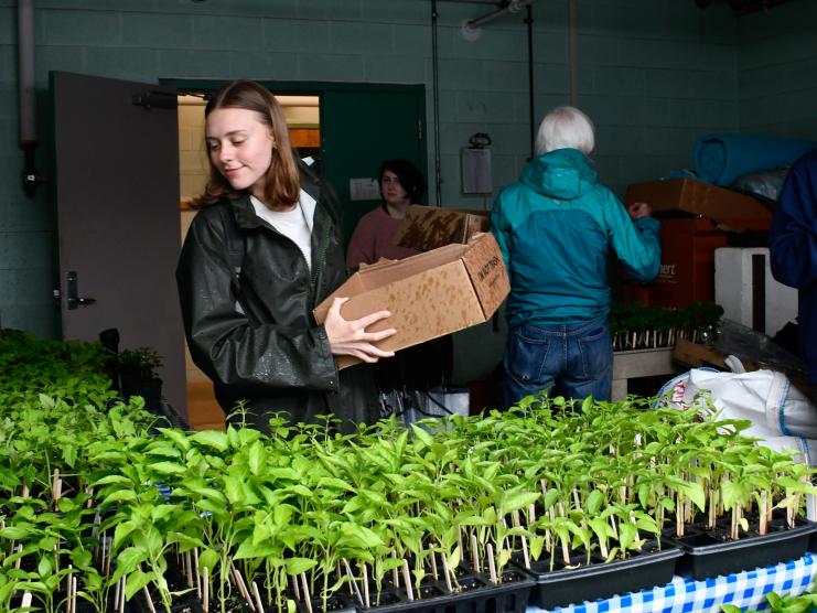 Student farm volunteers organize plants during their annual sale.