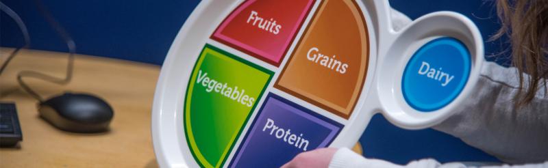 Health Promotion and Wellness nutrition education using MyPlate
