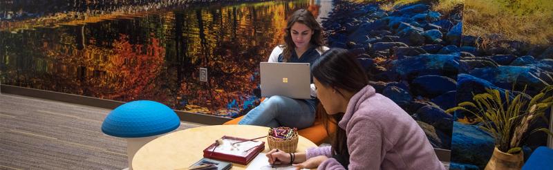 Students studying and enjoying the relaxation room 