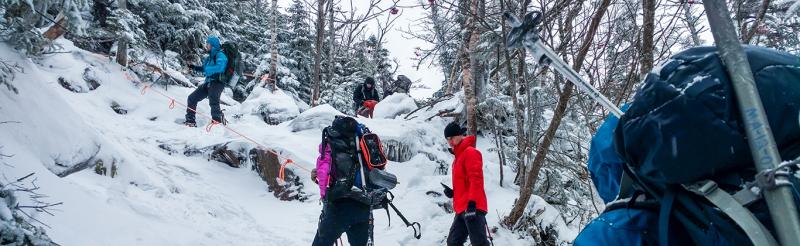 Students hiking