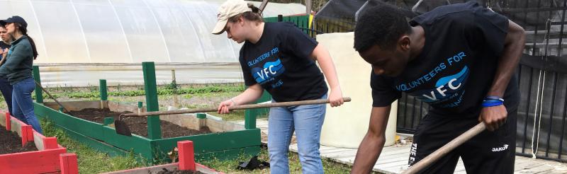 Students working in a raised garden during alternative spring break