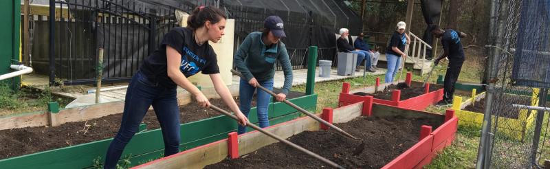Students gardening in a raised planting bed