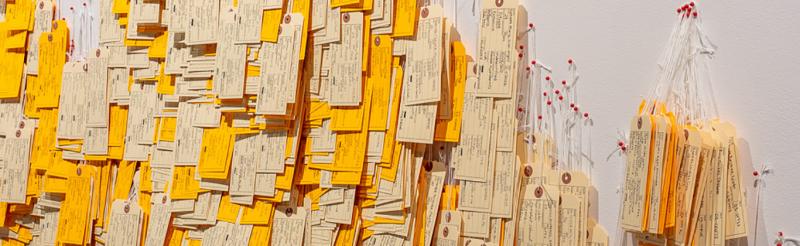 Toe tags hang from a wall by red map pins