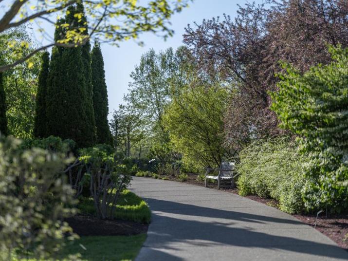 An empty path through plants at the Penn State Arboretum