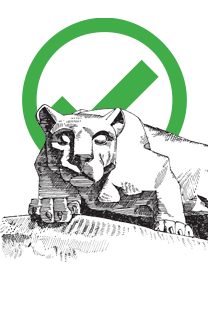 Lion Images