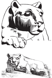 Lion Images