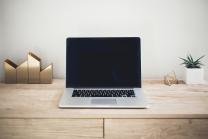 Laptop on desk with bronze decorations and plant